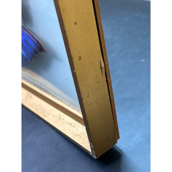 Framed Butterfly Display With Gold Frame & Natural Dried Stalks - Picture 12 of 16